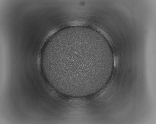 X0000112380675200908201523