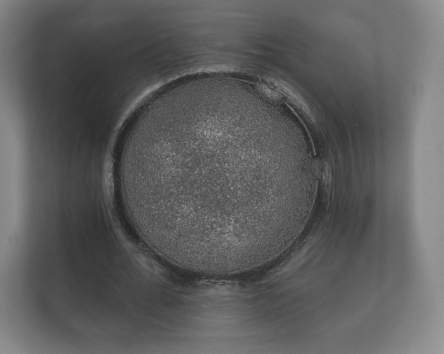 X0000112380676200908201523