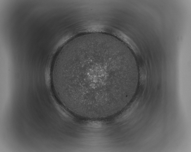 X0000112380677200908201523