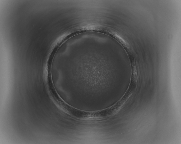 X0000112380678200908201523