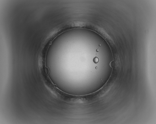 X0000112380683200908201522