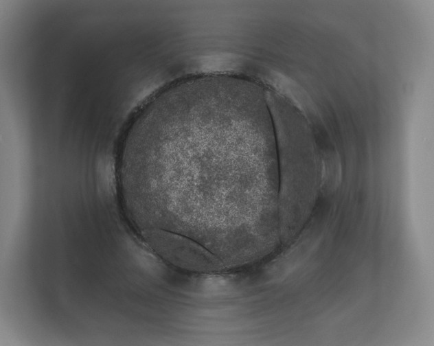 X0000112380684200908201522