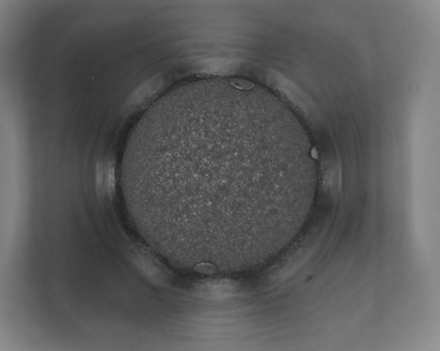 X0000112380685200908201522