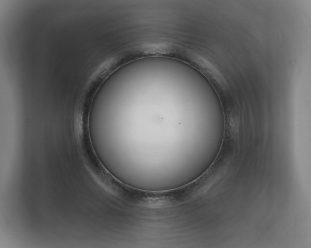 X0000112380686200908201522