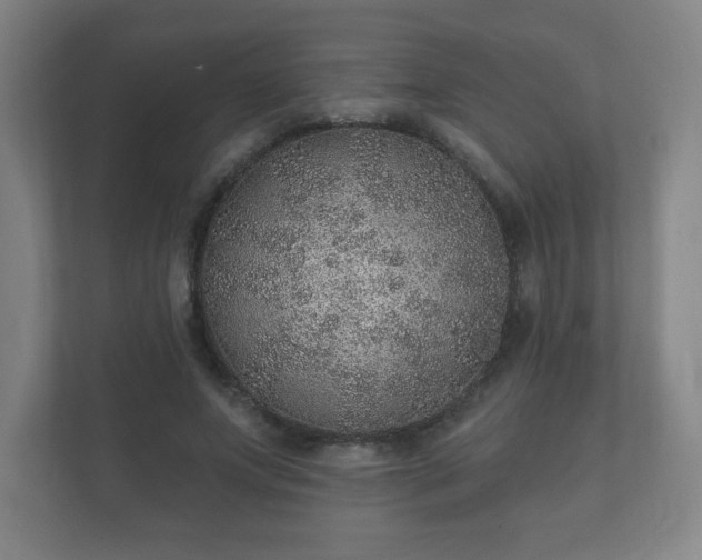 X0000112380687200908201522