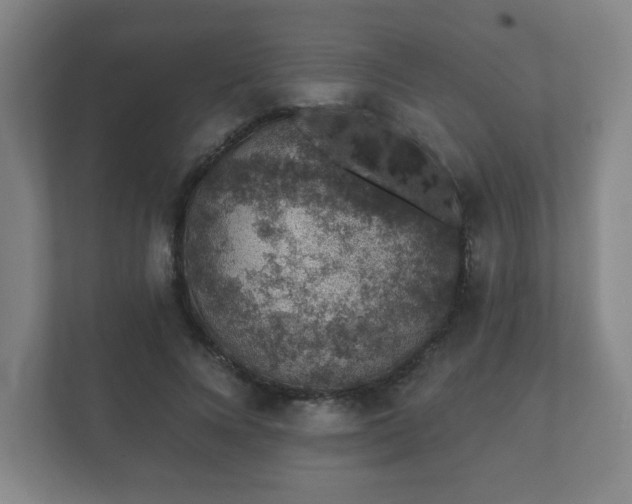 X0000112380688200908201522