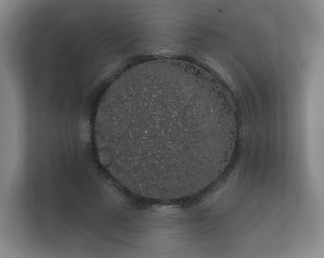 X0000112380689200908201522