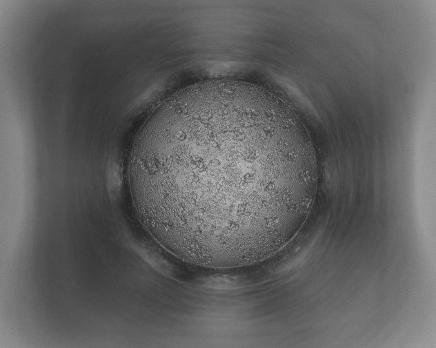 X0000112380691200908201522