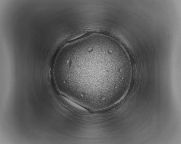 X0000112380692200908201522