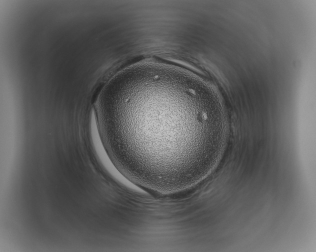 X0000112380693200908201522