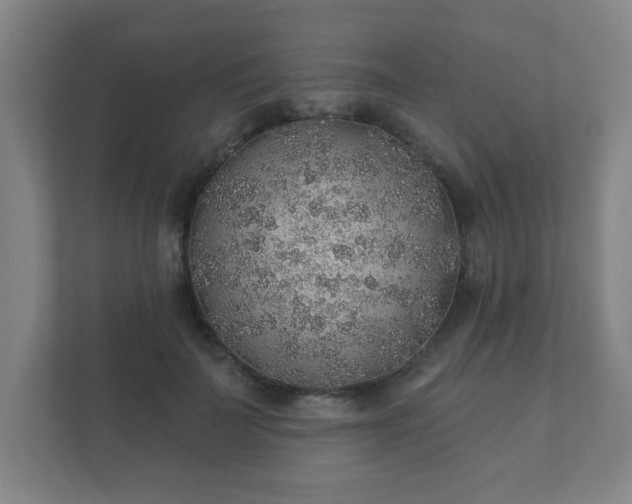 X0000112380699200908201522