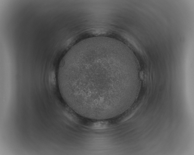 X0000112380700200908201522