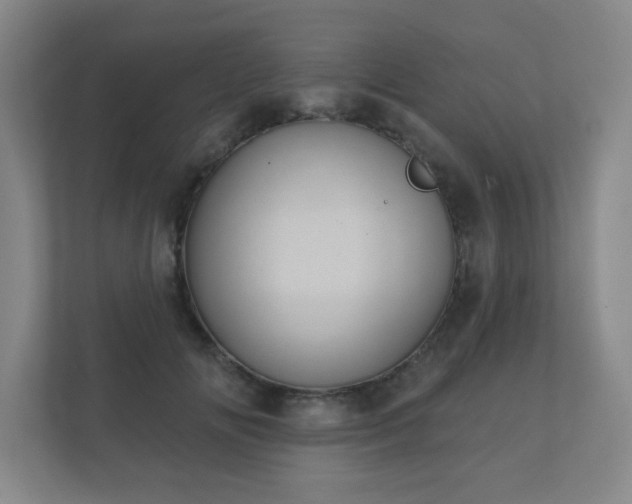 X0000112380702200908201522