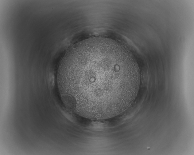 X0000112380703200908201522