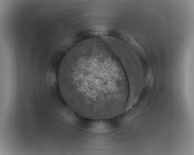 X0000112380704200908201522