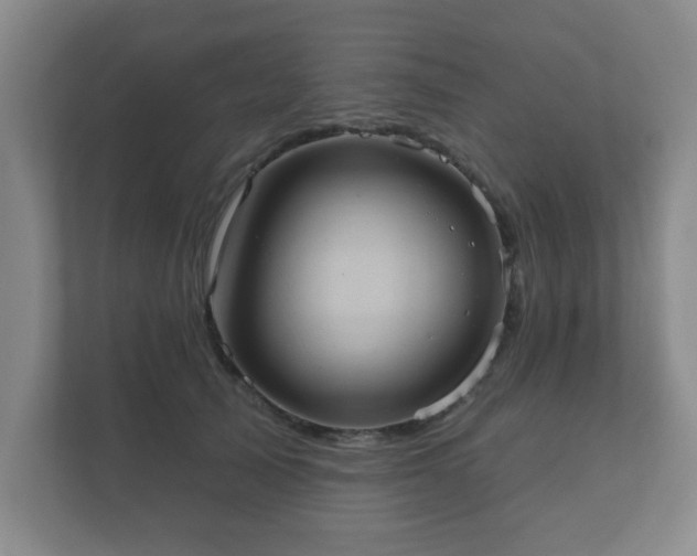 X0000112380705200908201522