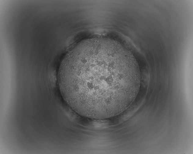 X0000112380707200908201522