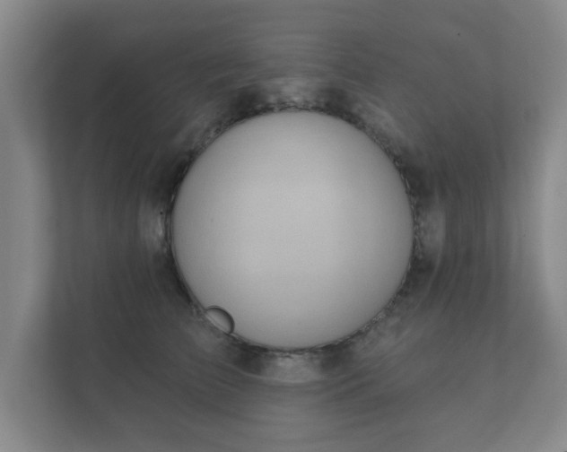 X0000112380709200908201522