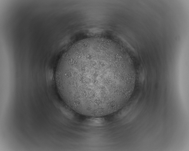 X0000112380711200908201522