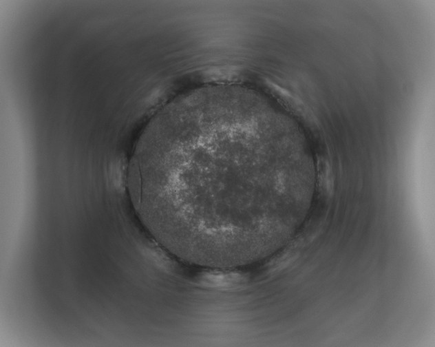 X0000112380712200908201522