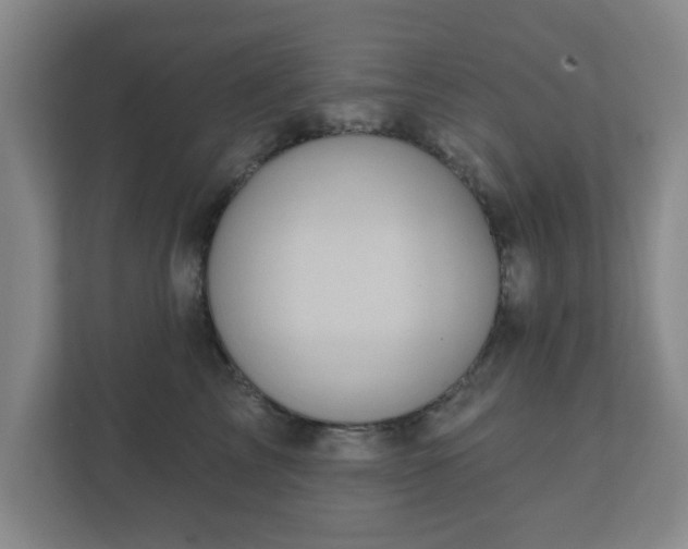 X0000112380713200908201522