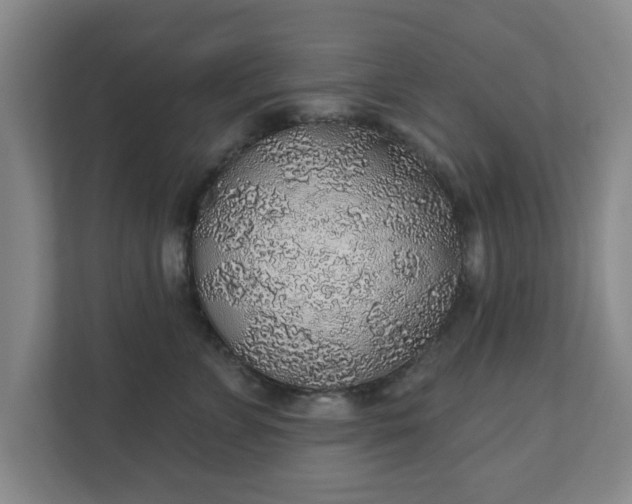 X0000112380715200908201522