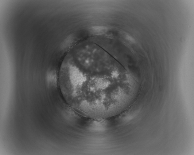 X0000112380720200908201522