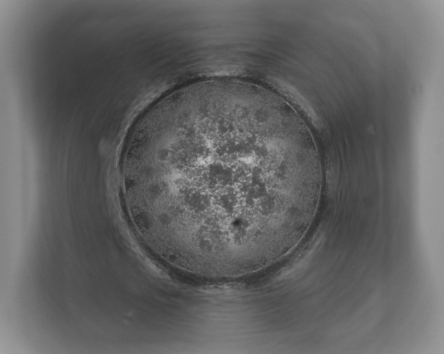 X0000112380721200908201521