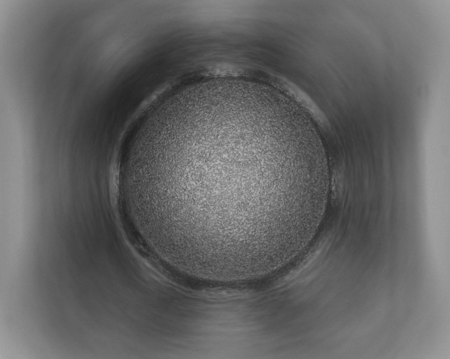 X0000112380722200908201521