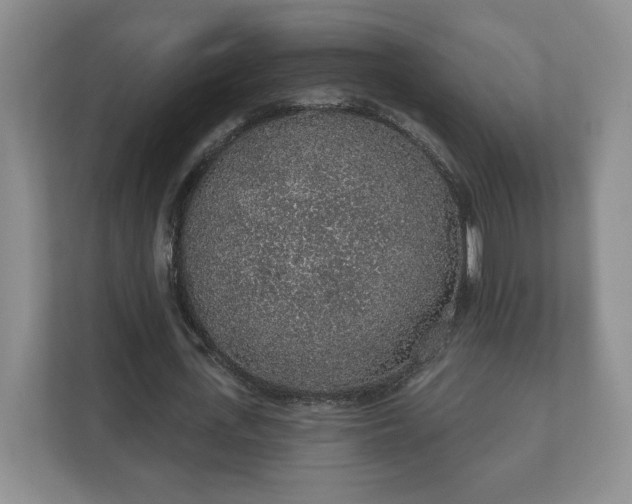 X0000112380723200908201521