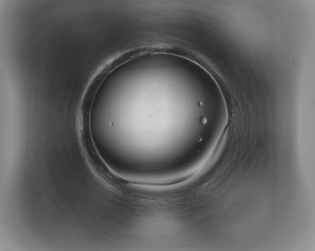 X0000112380726200908201521