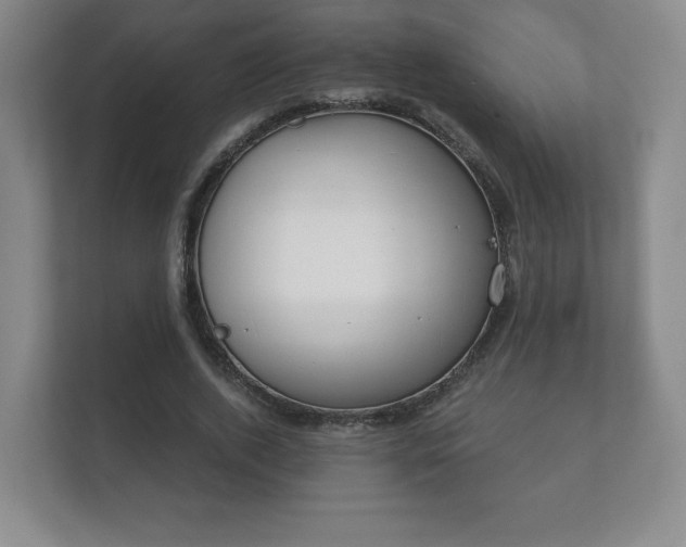 X0000112380728200908201521