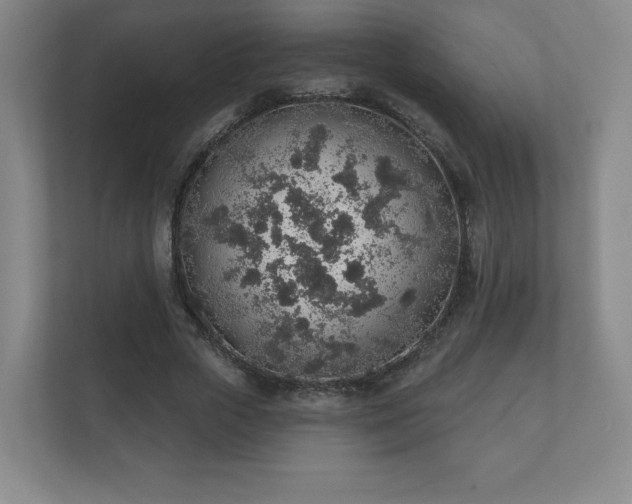 X0000112380729200908201521