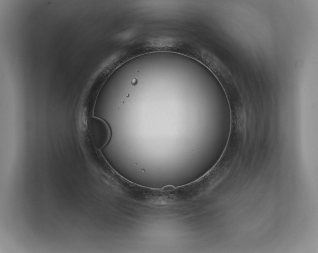 X0000112380731200908201521