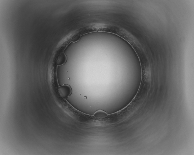 X0000112380732200908201522