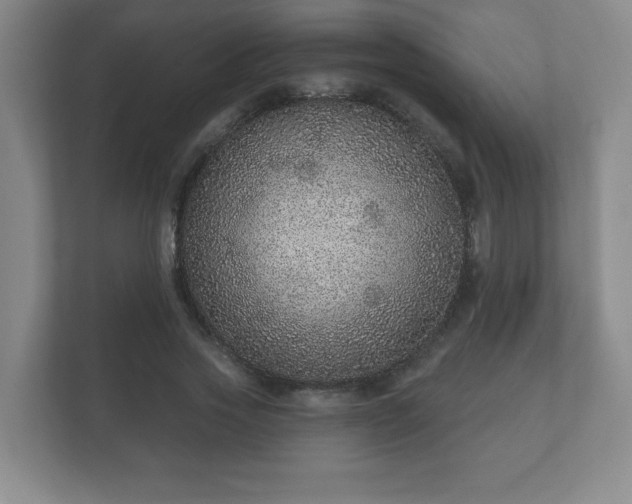 X0000112380733200908201522