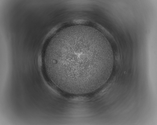 X0000112380734200908201522