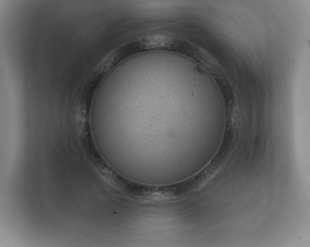 X0000112380737200908201522