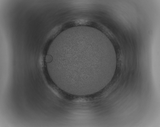 X0000112380738200908201522