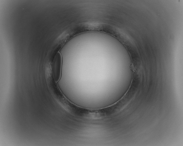 X0000112380744200908201522