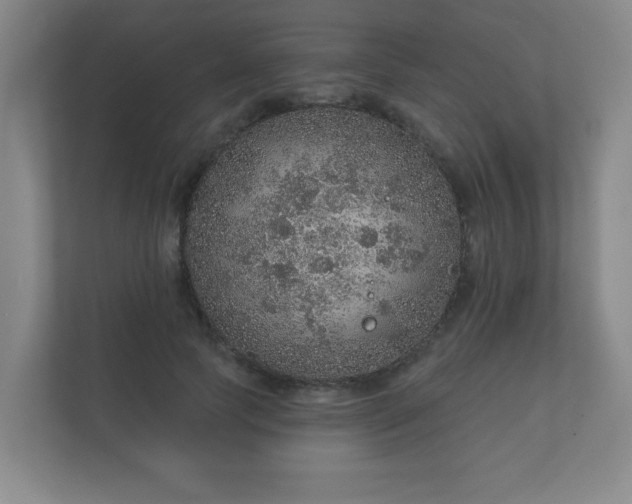 X0000112380745200908201522