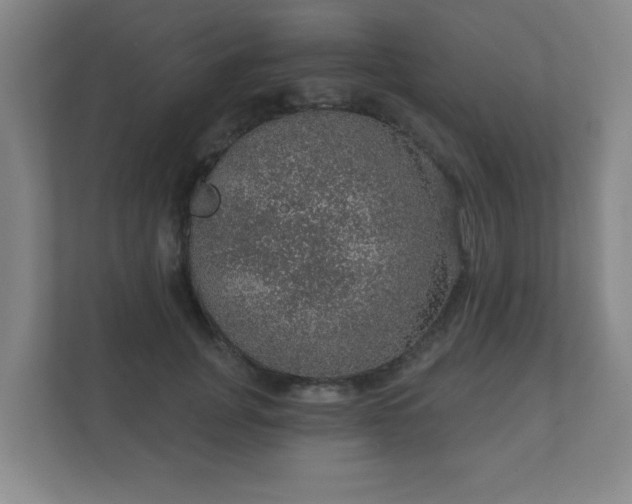 X0000112380751200908201522