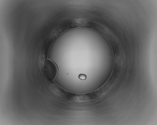 X0000112380752200908201522