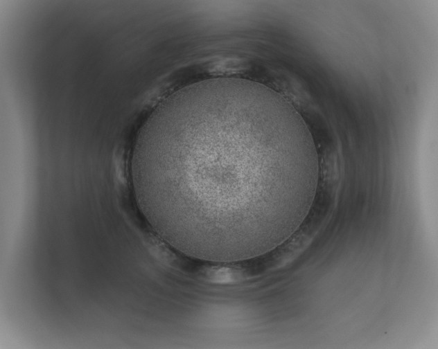 X0000112380755200908201522