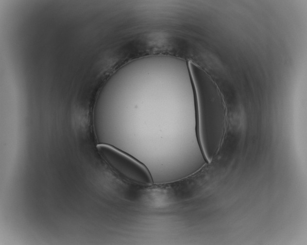 X0000112380756200908201522