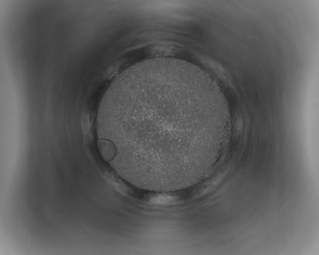 X0000112380759200908201522