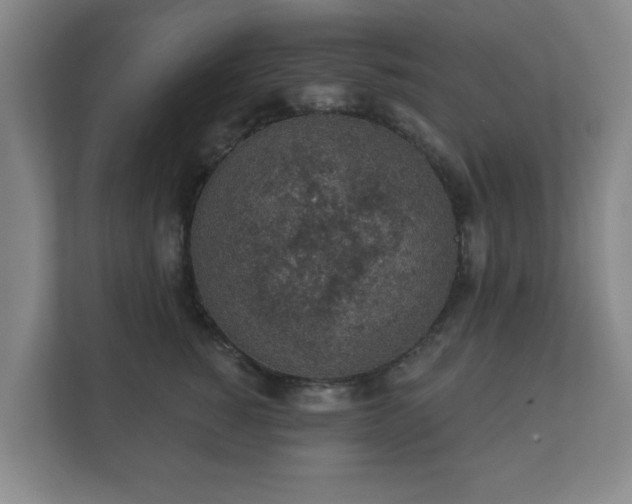 X0000112380760200908201522