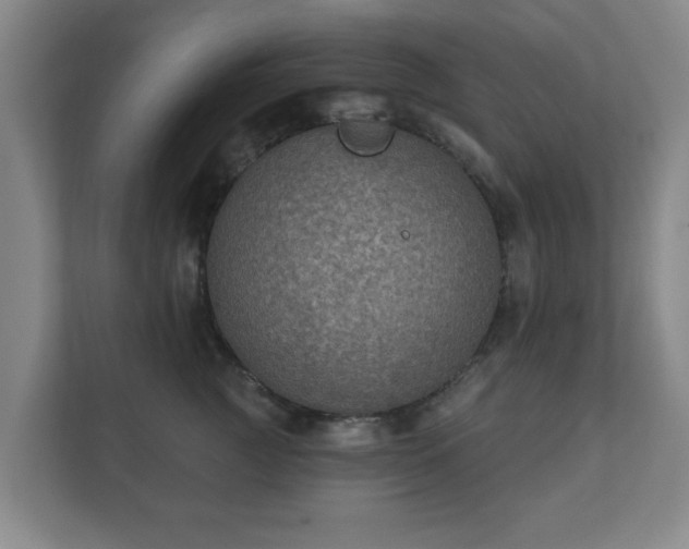 X0000112380761200908201522