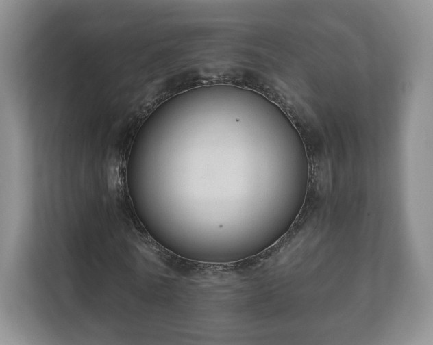 X0000112380770200908201521