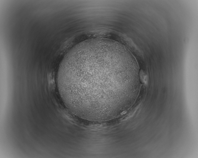 X0000112380771200908201521